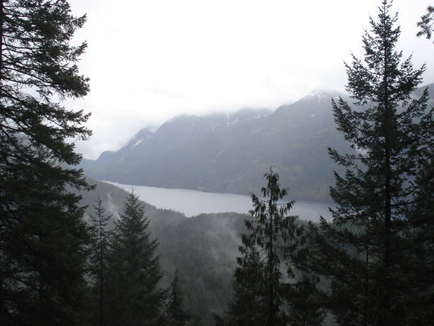 istock Golden Ears Provincial Park 1497004634