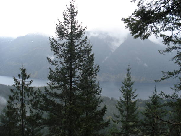 istock Golden Ears Provincial Park 1497004637