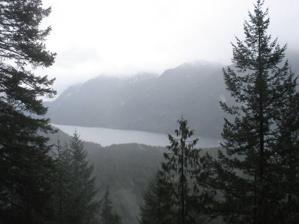 istock Golden Ears Provincial Park 1497004640