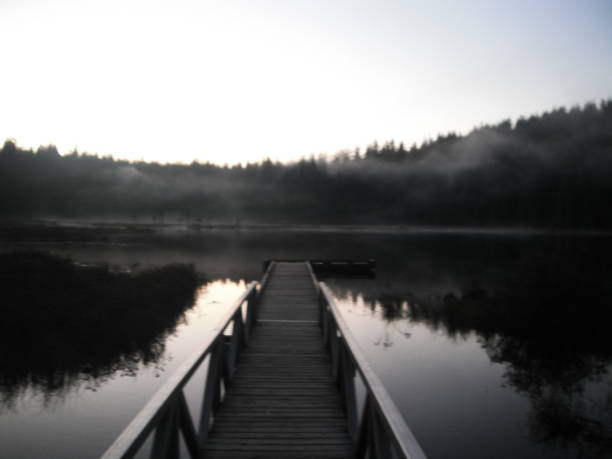 istock Mike Lake Golden Ears Provincial Park 1497004695