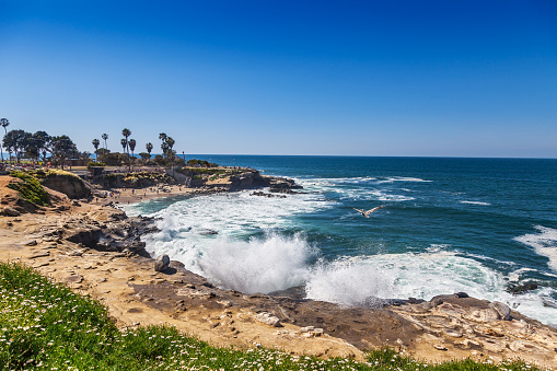 Sunny late afternoon at the popular scenic seaside town of La Jolla Cove beach in San Diego, California.