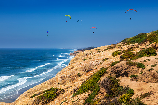 Paragliders from the Torrey Pines gliderport just north of San Diego, California