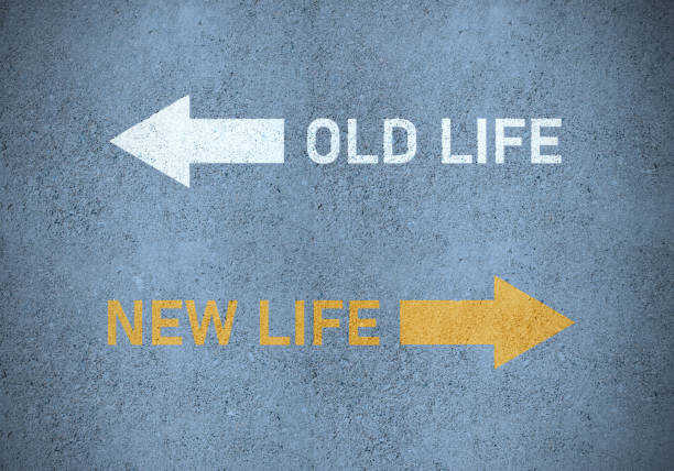 istock Old (white up, left) or new life (yellow bottom right), road markings 1497007719