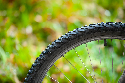 Bike wheel on background of green leaves