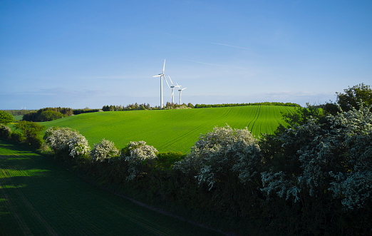 Aerial view of Danish nature with hedgerows and crop field.