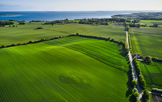Aerial view of Danish nature with hedgerows and one lane road