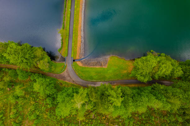 istock Aerial view of green summer forest and blue river 1497009653