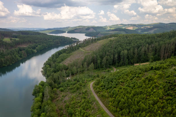 istock Aerial view of green summer forest and blue river 1497010530