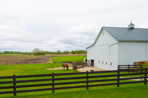 Amish Farm with horses-fence and barn-Northern Indiana