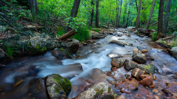 istock Chrisopher Creek flows through lush forest in See Canyon below the Mogollon Rim in Tonto National Forest 1497012489