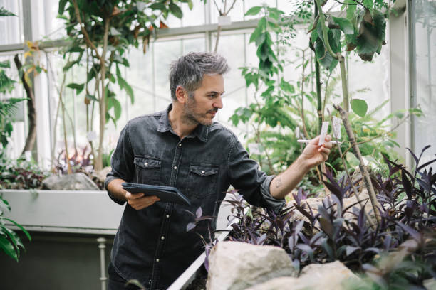 istock man uses digital tablet for his botany research 1497013006