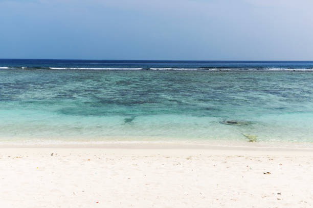 istock White beach at Maldives, Hulhumale atoll 1497013415