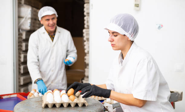 istock Male and female farmer workers sorting and labeling fresh chicken eggs on farm 1497015330