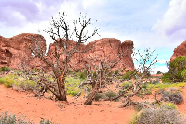 istock Arches National Park Utah Red Rock Formations Sunset Dramatic Sky 1497016507