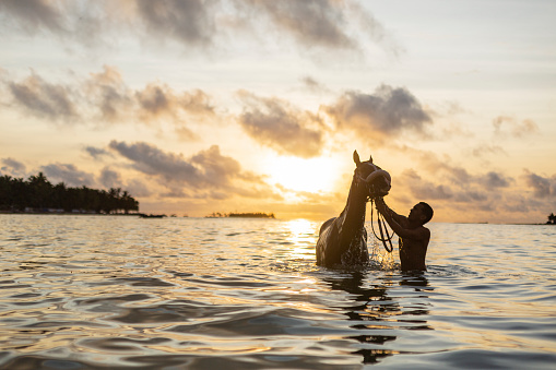 Photography of a beautiful scene on the beautiful island of San Andres where there is a man who enters the sea with his horse where he bathes it while they live at dawn