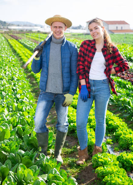 istock Young farmer couple ready to work on leaf vegetable plantation 1497018245