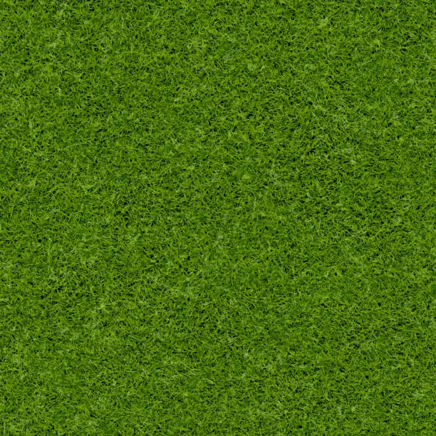 Vector illustration of Seamless golf green grass vector background