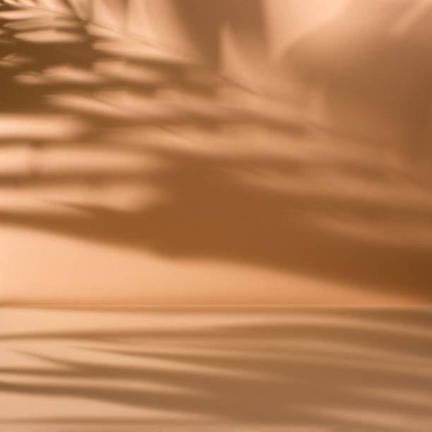 istock Pastel orange abstract background with palm leaves shadow 1497020324