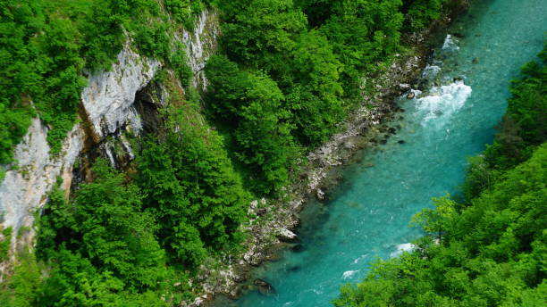 istock River from Montenegro- Tara Canyon 1497024976