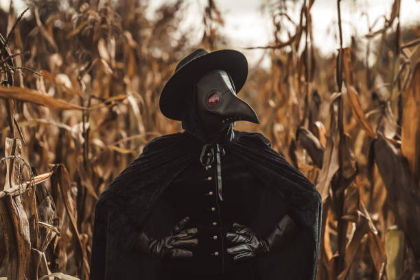 Plague doctor gothic woman standing in autumn thickets of corn. Creepy raven mask, halloween, historical terrible protection costume, mystical fantasy. Plague doctor gothic woman standing in autumn thickets of corn. Creepy raven mask, halloween, historical terrible protection costume, mystical fantasy. High quality photo black plague doctor stock pictures, royalty-free photos & images