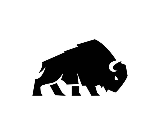 ilustrações, clipart, desenhos animados e ícones de silhueta do touro do bisão silhueta do logotipo da silhueta do touro ilustração stock - bisão americano