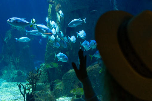 A young woman touches a stingray fish in an oceanarium tunnel.