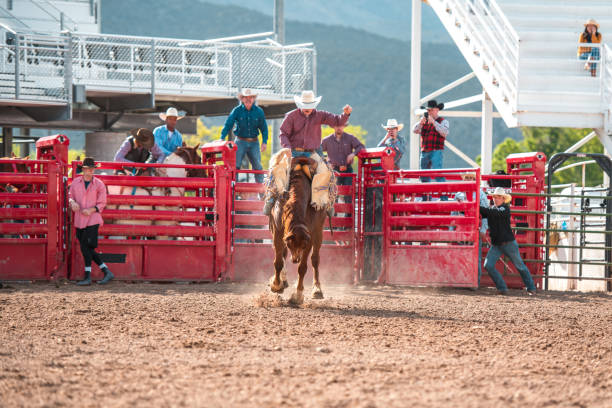 istock Cowboy Riding A Bucking Horse 1497044603