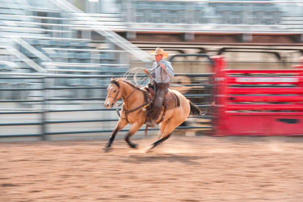 istock Cowboys Lassoing A Bucking Horse 1497044610