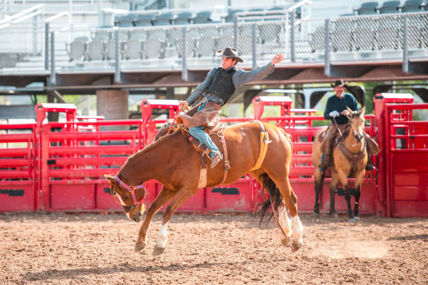 istock Cowboy Riding A Bucking Horse 1497044616