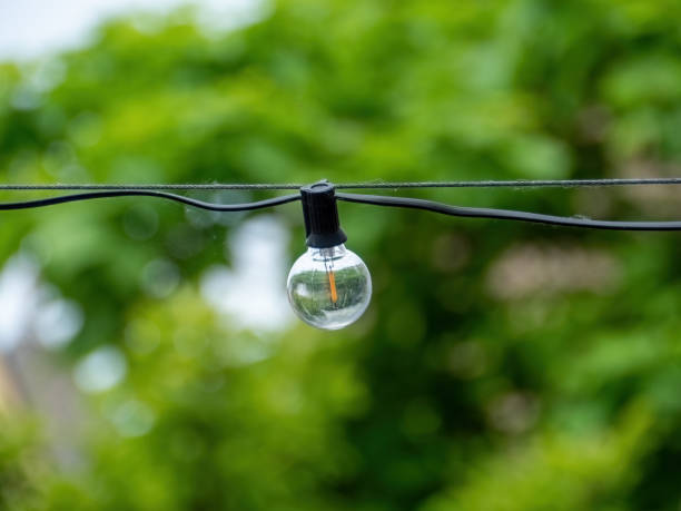 istock Hanging Single Party Light in the Summer Garden 1497049354
