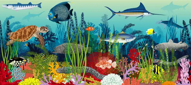 Vector illustration of seamless Vector underwater coral reef horizontal pattern. Undersea bottom texture with colorful tropical fishes, sharks and  green sea turtle