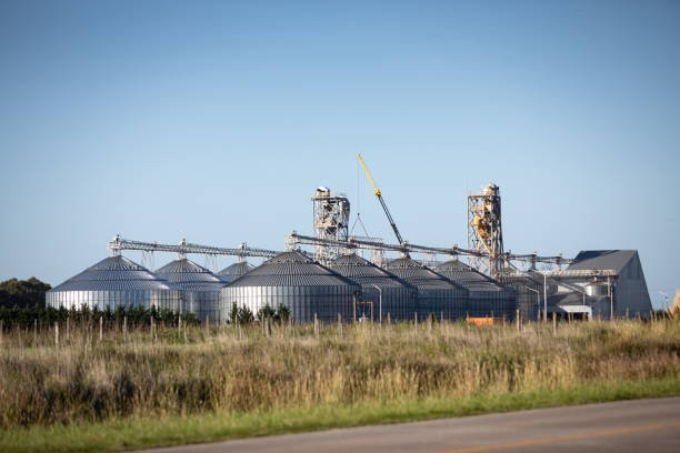 Construction for storage and drying of grain crops. Agricultural silo