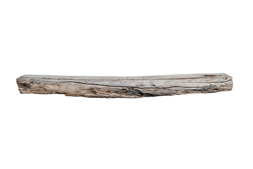 Firewood log on white background