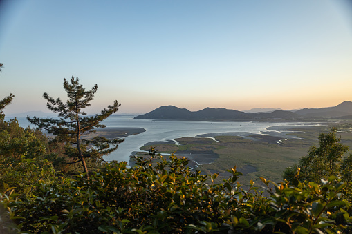 Suncheon Bay Reed Field at sunset on a sunny summer day, South Korea. It is a UNESCO natural heritage site also called Suncheon Wetlands.