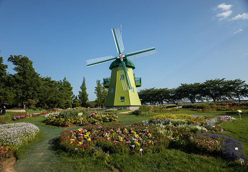 Suncheon Bay National Garden on a sunny summer day in South Korea. One of the biggest and most famous garden in Korea outside of Seoul.