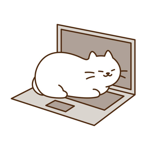 Cat Computer Draw 450+ Cat Computer Keyboard Stock Illustrations, Royalty-Free Vector ...