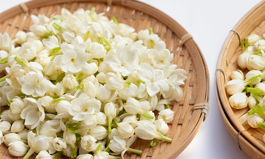 Thai jasmine flower on white background.