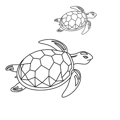 graphic vector illustration of two turtles isolated white color suitable for background or wallpaper.