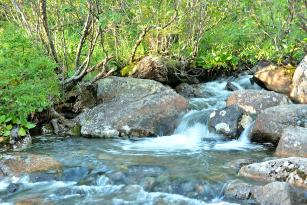 A cascade of a rapid stream of a small river, bending around large stones, flows down from the mountains on an autumn evening. Chul-Oozy river, Altai, Siberia, Russia.