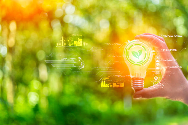 istock concept eco earth day. green tree growing in a light bulb On the background blurred image of green leaves and there is a golden light in the morning. energy saving and environmental protection. 1497066932