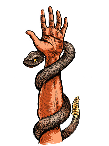 Rattlesnake and human hand.  Hand drawn ink on paper and hand colored on tablet