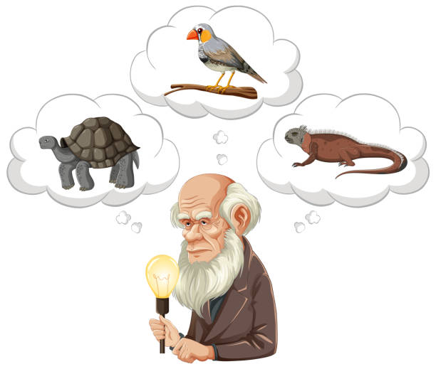 Bangkok, Thailand May 25, 2023. Caricature of Charles Darwin Bangkok, Thailand May 25, 2023. Caricature of Charles Darwin illustration charles darwin naturalist stock illustrations