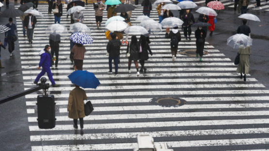High angle view crowd of busy pedestrian people holding umbrella crossing street crosswalk at Ginza, Tokyo City, Japan in autumn raining day. Business man and woman go to work at office district in rush hour.