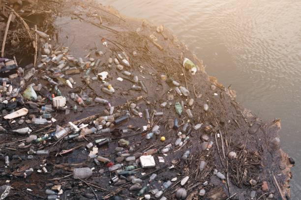 istock Water pollution in a fresh water lake. Water pollution concept. Plastic waste thrown into the water. Ocean polluted throwing waste into water. 1497074092