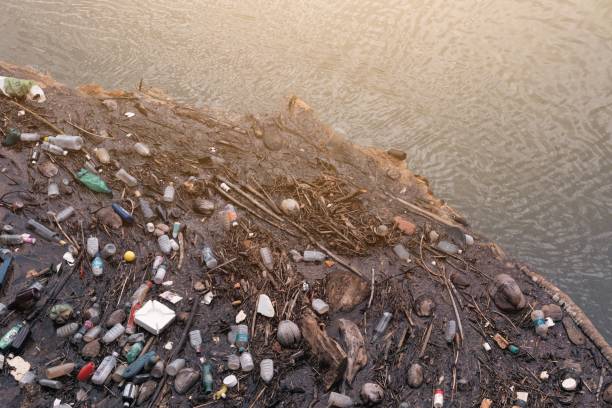 istock Water pollution in a fresh water lake. Water pollution concept. Plastic waste thrown into the water. Ocean polluted throwing waste into water. 1497074606