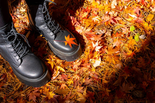 istock Woman foot standing under maple tree in autumn 1497076570