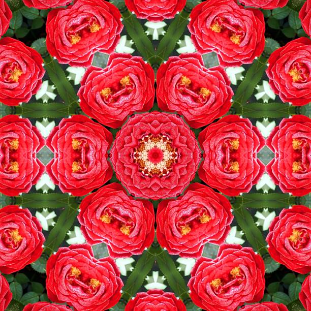 Kaleidoscope background of red roses