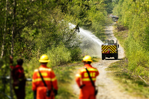 Firefighters watch as an off-road firetruck sprays the edge of a dirt road near a forest fire.