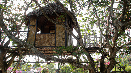 Traditional knitted woven bamboo with thatch roof tree house or hut build between two tree.