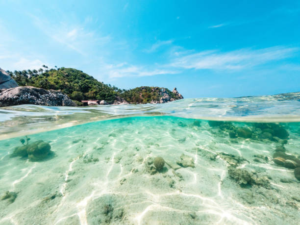 istock Underwater ripple pattern ,Under the sea and beach at Koh Tao 1497084597